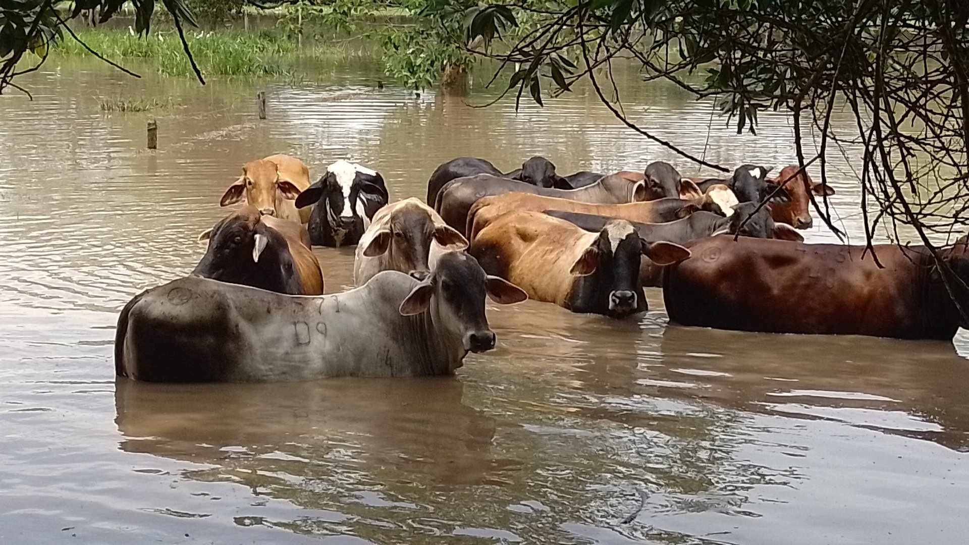 Desbordamiento río Guaguaqui 