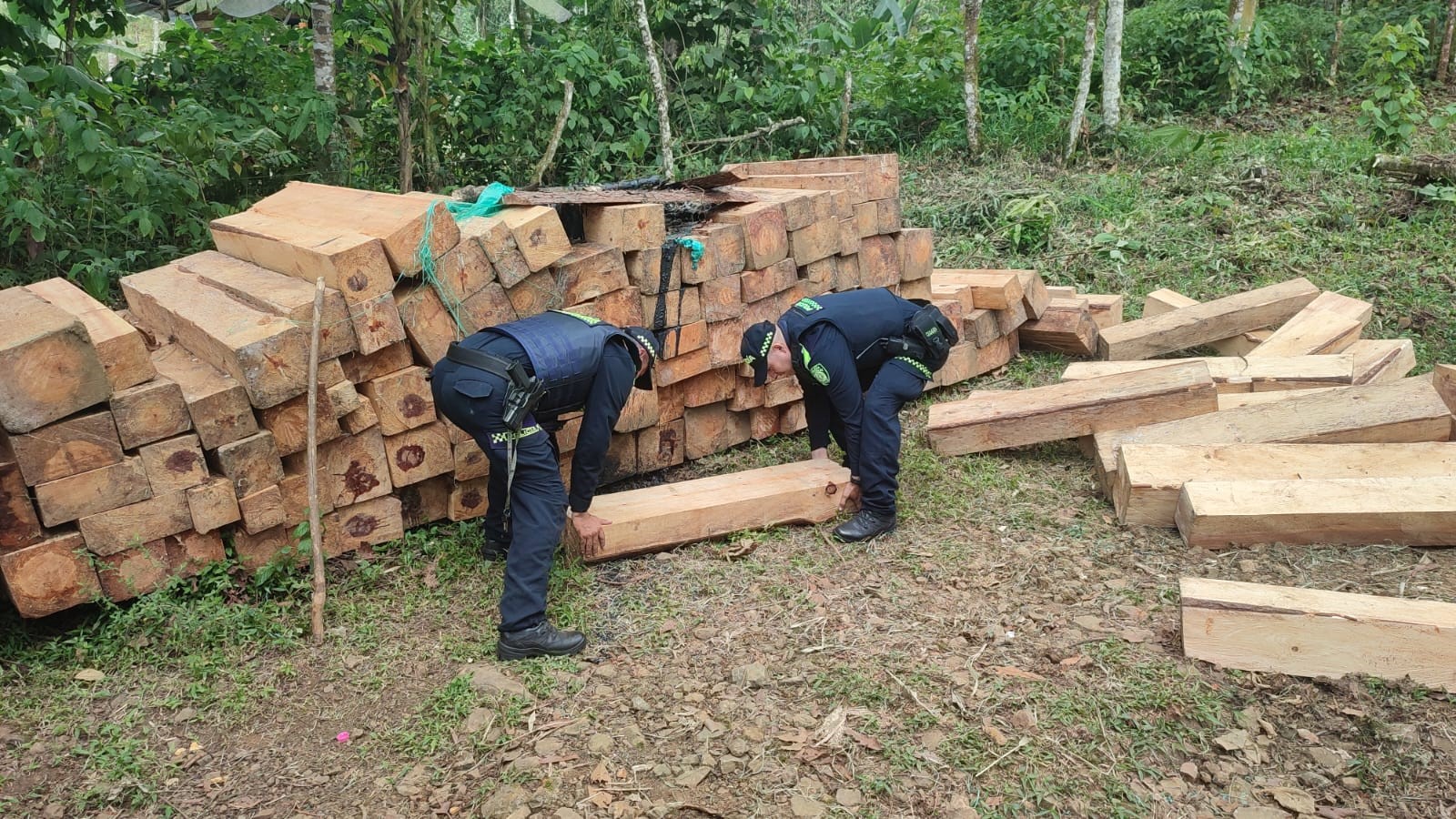 POLICÍAS AMBIENTALES