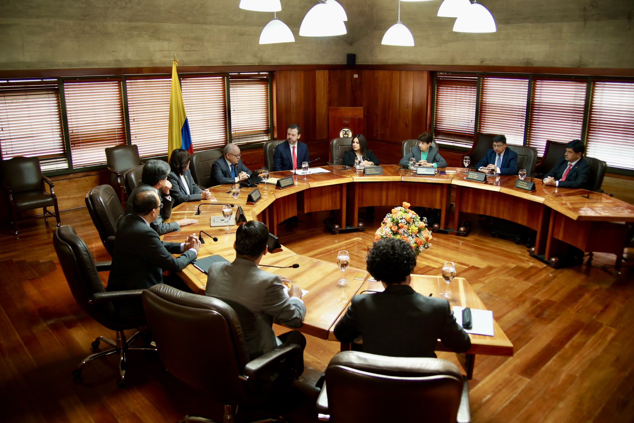 Sala plena Corte Constitucional