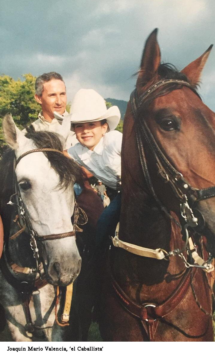 FOTOGRAFIA DE VALENCIA CON CABALLOS