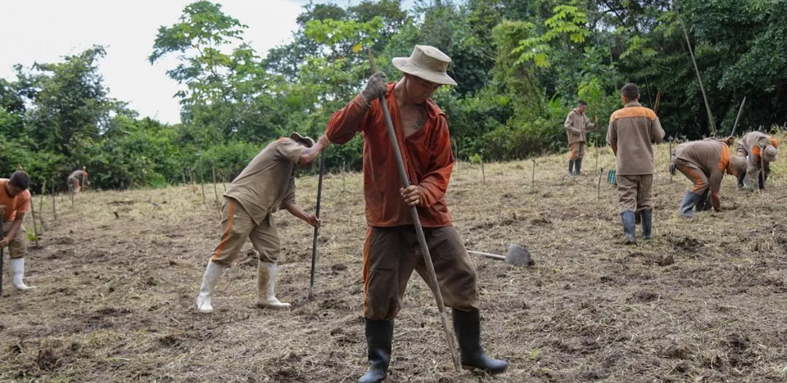 Campesinos cultivando tierra