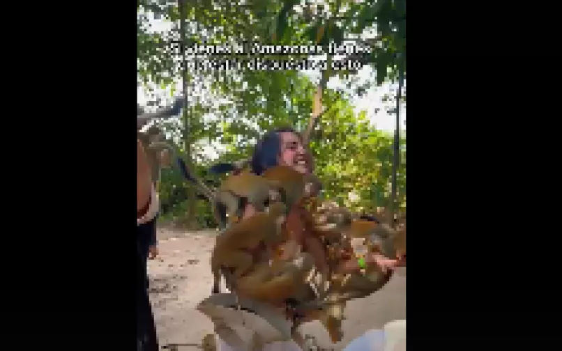 isla de los micos amazonas