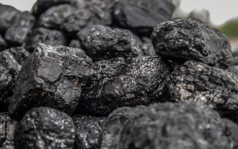 prohibicion exportacion de carbon a israel