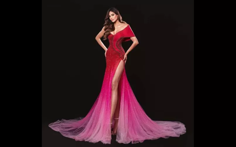 Vanessa Pulgarín, Miss Universe Colombia 2025