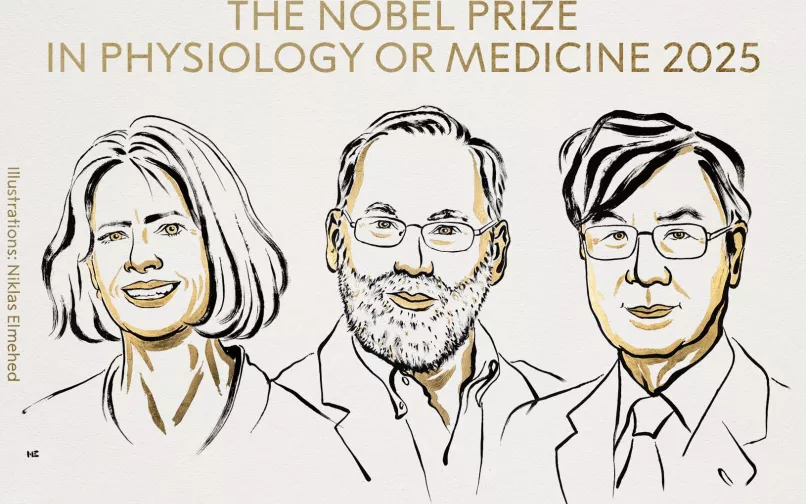Mary E. Brunkow, Fred Ramsdell and Shimon Sakaguchi 