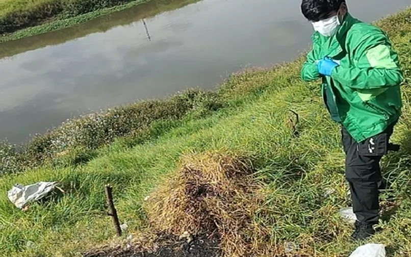 caso de perrita incinerada 