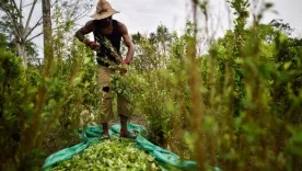 Colombia es el mayor exportador de cocaína al mundo