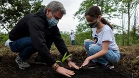 Siembra de árboles nativos en Colombia