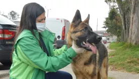 Protección Animal se pronunció al respecto del caso del maltrato animal en Kennedy