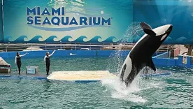 Miami Seaquarium