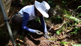 Recuperan tres cuerpos de indígenas desaparecidos en Meta