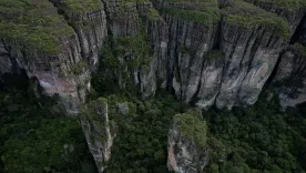 La resolución que permitirá la exploración minera en reservas forestales