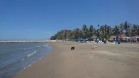 Multa para pareja que tuvo sexo en playa de Puerto Colombia, Atlántico