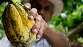 MinAgricultura: adelantos reforma agraria