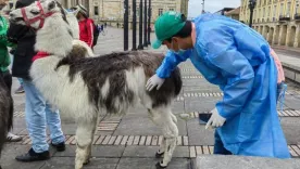 Fin a las fotos con llamas en la Plaza de Bolívar