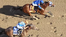 Caballos de Churchill Downs