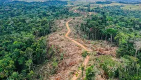 Bosques Colombia