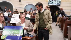 Uso cannabis Senado