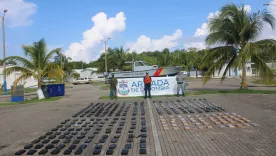 Incautan 350 kilos de cocaína en San Andrés 1