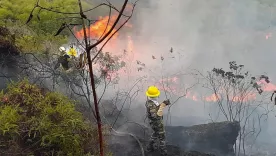 Desastre ambiental en Santander 