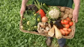 alimentos crisis