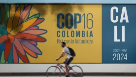 cop16-logo-cali