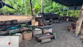 laboratorio de cocaína