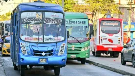 buses barranquilla