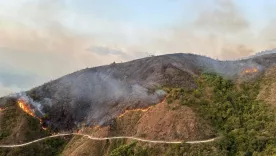 incendios forestales Huila