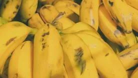 BANANO 5 OCTUBRE