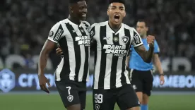 Botafogo Libertadores 2024