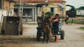 vehículos de tracción animal