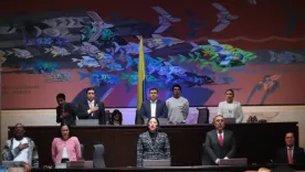 Hijos del Estado