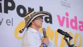 petro consituyente