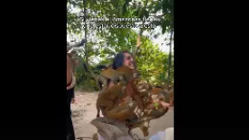isla de los micos amazonas