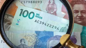 Lupa al dinero