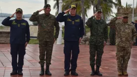 Fuerzas MilPan