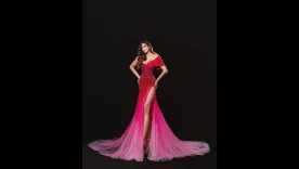 Vanessa Pulgarín, Miss Universe Colombia 2025