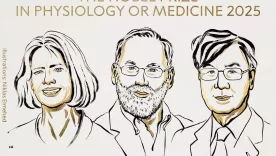 Mary E. Brunkow, Fred Ramsdell and Shimon Sakaguchi 