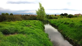 Humedales de Bogotá