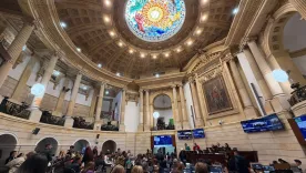 Extras senado de la República