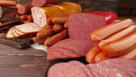 Carnes procesadas 26