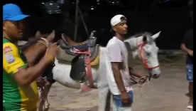 Caballos usados para carreras en Cartagena