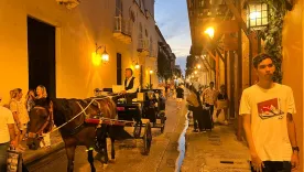 Caballos de cocheros en Cartagena 26