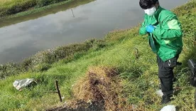 caso de perrita incinerada 