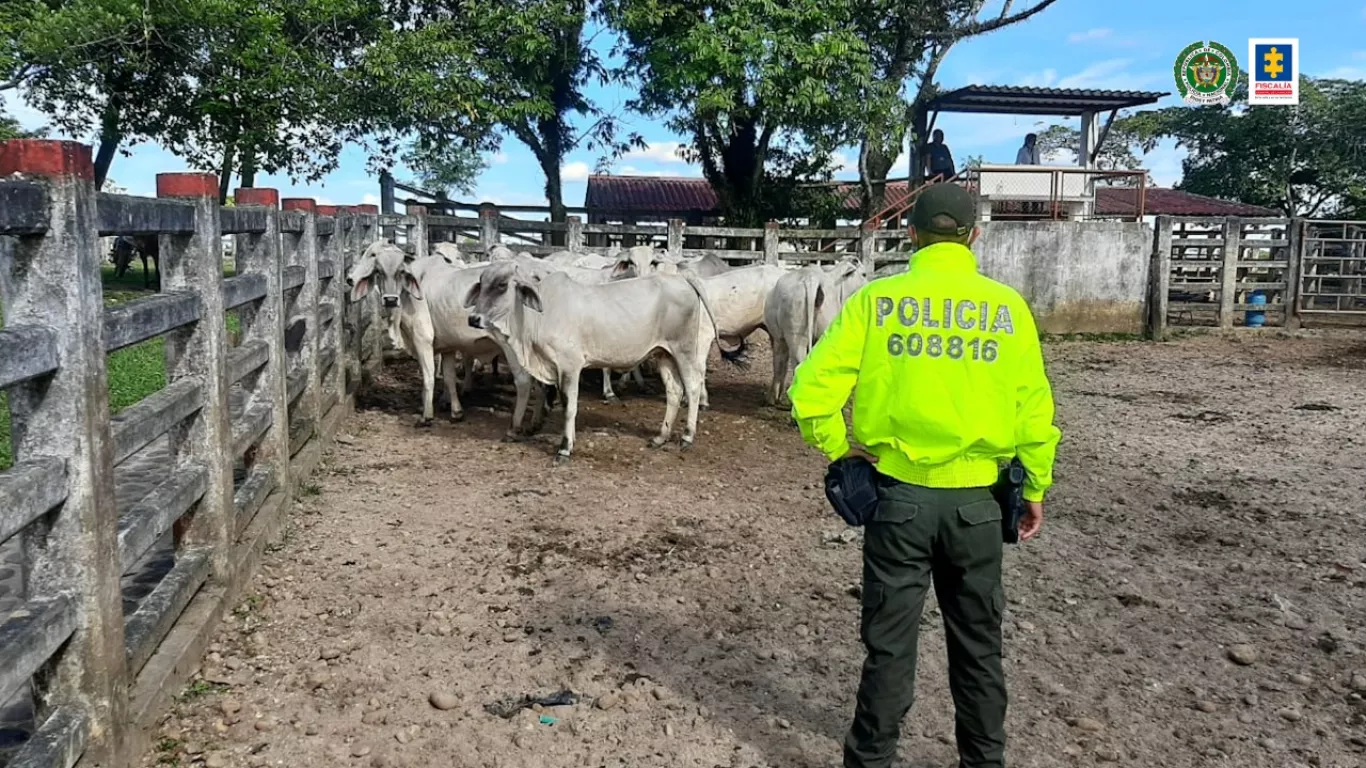 Bienes de alias 'Pedro Orejas' incautadas por la Fiscalía