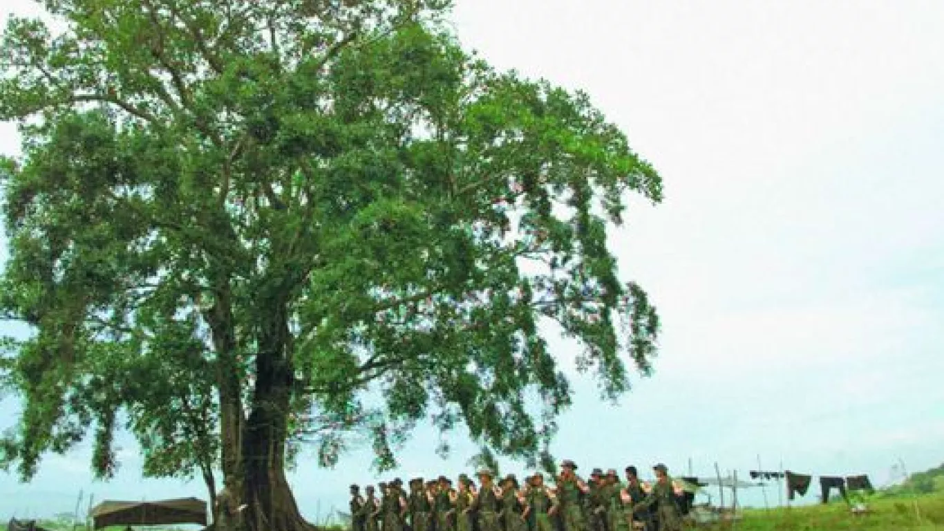 Desmovilizados de las Farc denuncian violencia en zonas de reincorporación