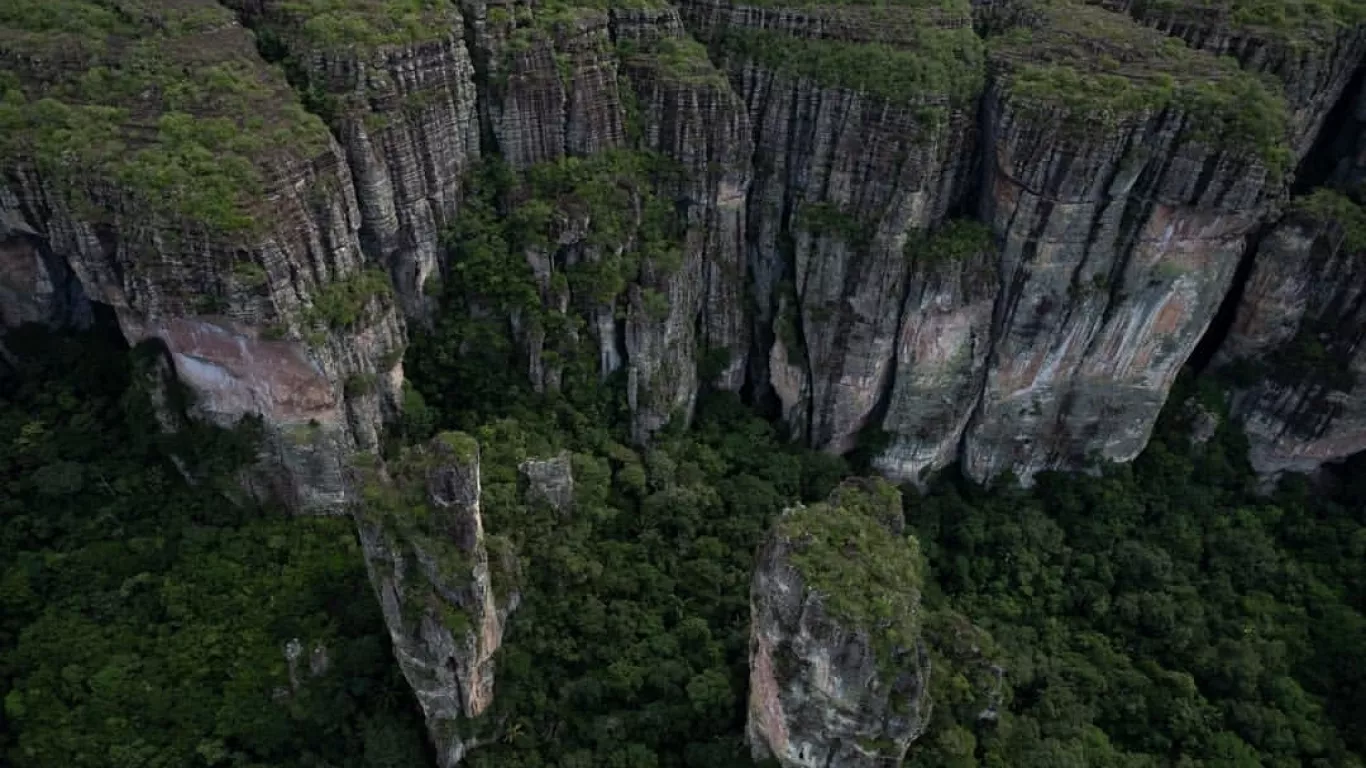 La resolución que permitirá la exploración minera en reservas forestales