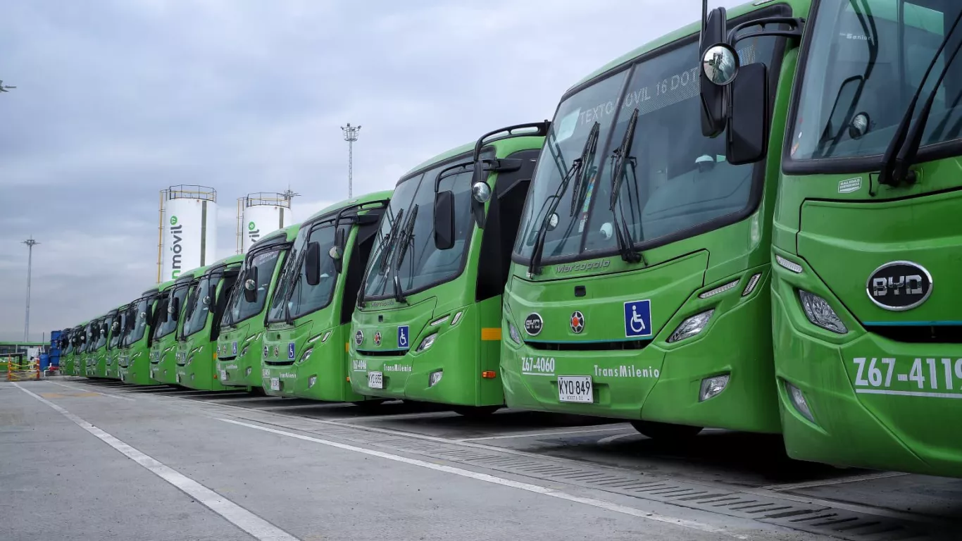 Buses nuevos bta