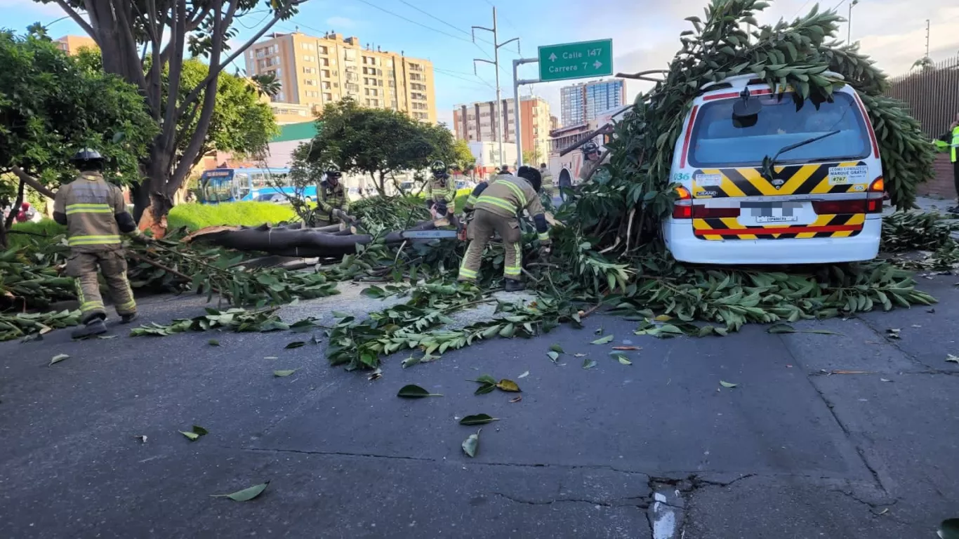 Árbol cayó sobre ruta escolar en Bogotá